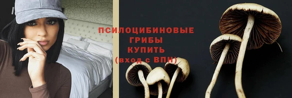 ECSTASY Михайловск