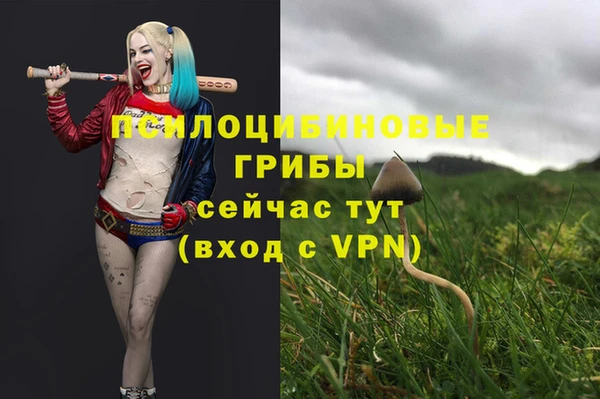 тгк Михайлов
