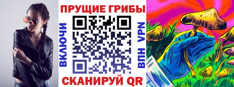 где найти   Шимановск  Псилоцибиновые грибы мухоморы 
