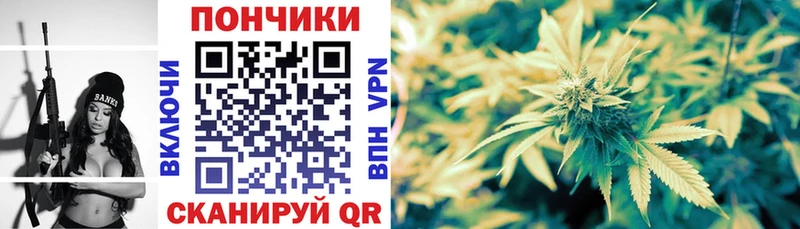 купить закладку  Шимановск  Бошки Шишки индика 
